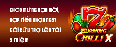 Thưởng Nạp Lần Đầu promotion